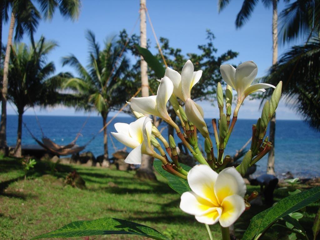 Camiguin Volcan Beach Eco Retreat & Dive Resort Mambajao Ngoại thất bức ảnh