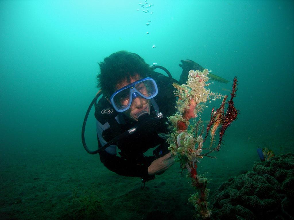 Camiguin Volcan Beach Eco Retreat & Dive Resort Mambajao Ngoại thất bức ảnh