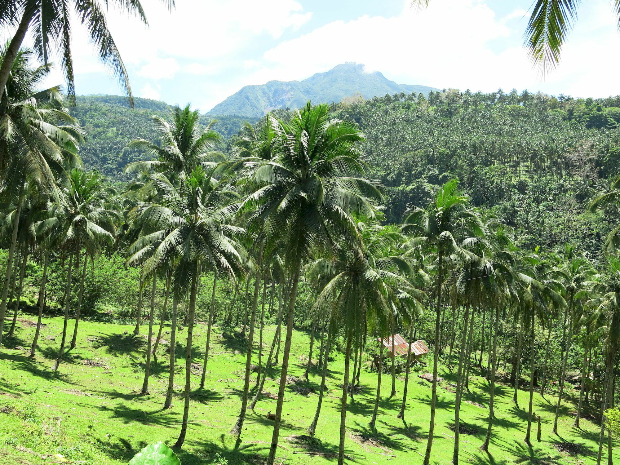 Camiguin Volcan Beach Eco Retreat & Dive Resort Mambajao Ngoại thất bức ảnh